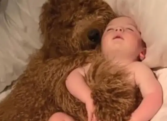 Let the baby and the dog live in their own homes and push the door to get in the way: That's so sweet