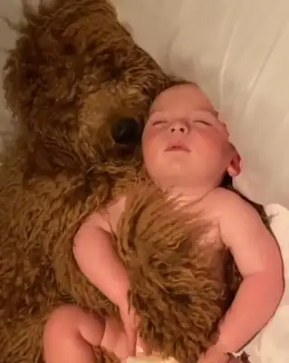 Let the baby and the dog live in their own homes and push the door to get in the way: That's so sweet