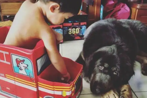 You'll eat with your brother when you're fed