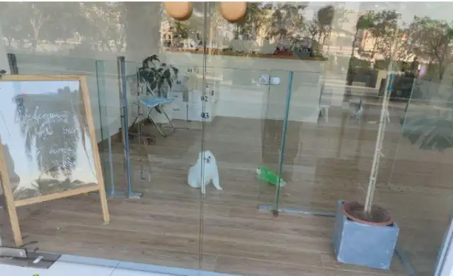 The owner of the dog claims $50,000 for the death of a pet dog in foster care in the sea mouth