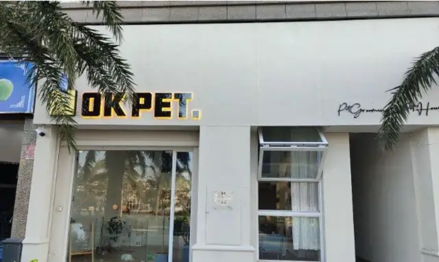 The owner of the dog claims $50,000 for the death of a pet dog in foster care in the sea mouth