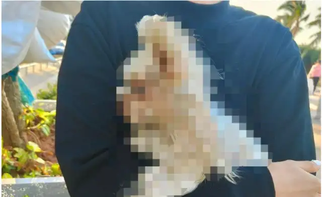 The owner of the dog claims $50,000 for the death of a pet dog in foster care in the sea mouth