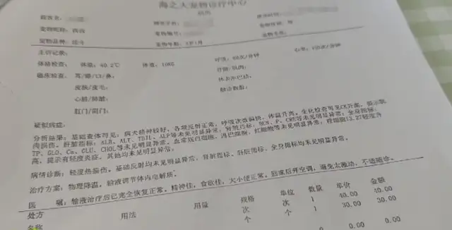 The owner of the dog claims $50,000 for the death of a pet dog in foster care in the sea mouth