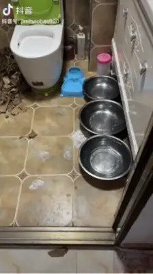 The owner is isolated, worried about dogs eating at home, and can turn on surveillance & #8230; crying