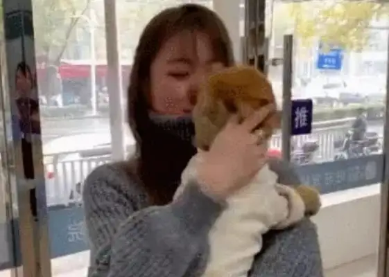 The dog that was lost six months ago