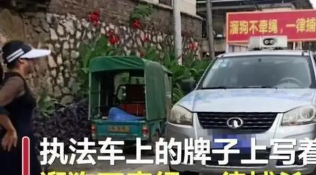 The dog who went to the streets alone was killed alive: dogs caught without strings