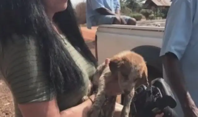 He took the dog to his girlfriend's house and he broke it all up