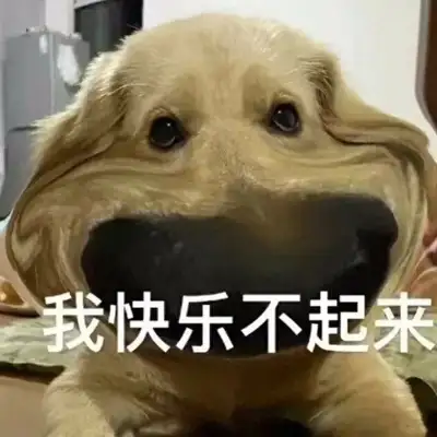 The dog's pain is eight. Don't ignore the master