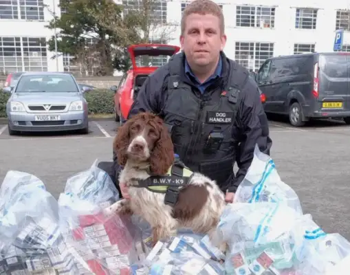 Dogs are so good at drug control that they're dissatisfied with the mob, and they're offering $25,000 for their heads