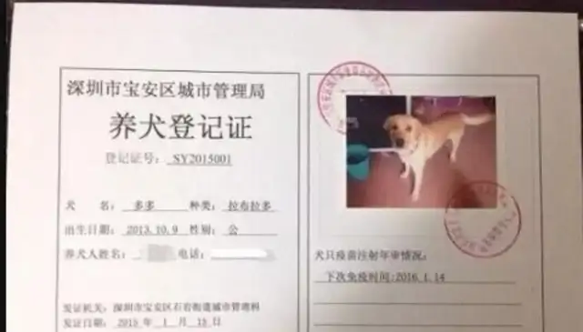 What about the dog's health certificate