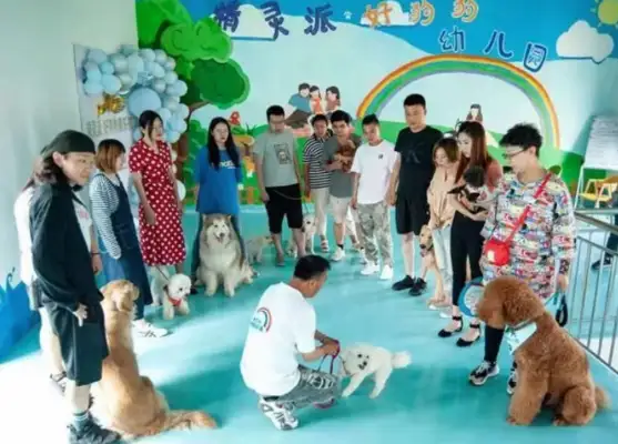 Chinan's first civilized dog training school