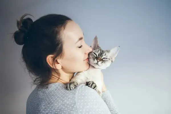 On cat diarrhoea: frequently asked questions and nursing techniques