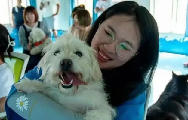 Chinan's first civilized dog training school