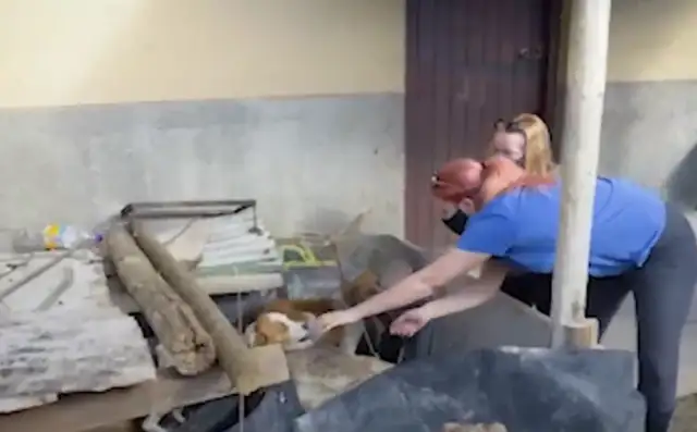 The dog brother who fights for food