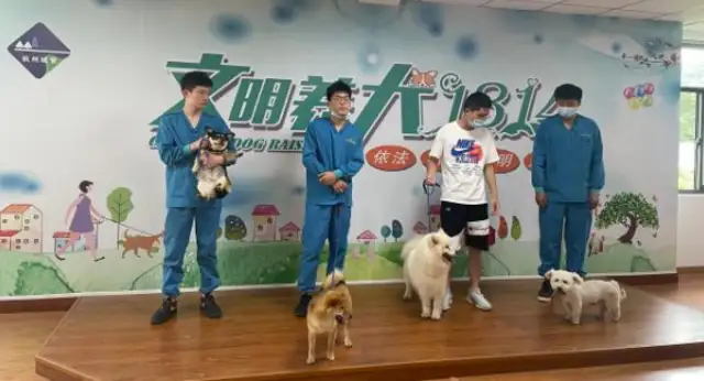 Free adoption of a dog. Today, the 15 little darlings have been taken