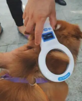 shenzhen city dogs will be treated as unlicensed dogs if they are not embedded in integrated ic!