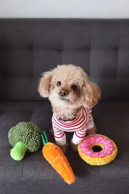 You know, the dog has 800 people who fake ball-throwing