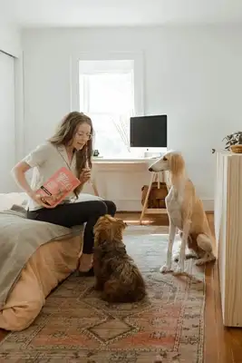 You know, the dog has 800 people who fake ball-throwing