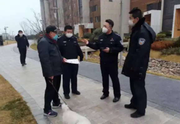 “5+5” canine management model to help build healthy cities
