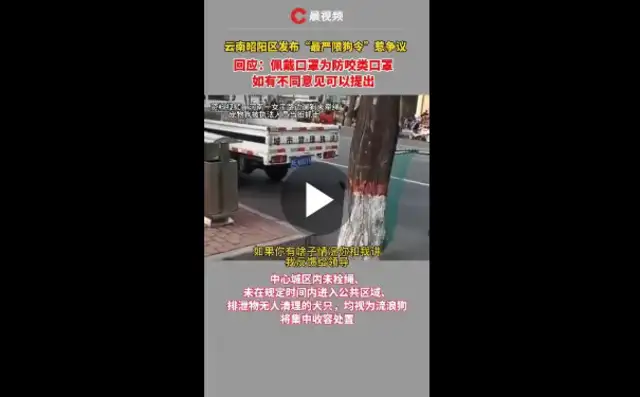 You can't walk a dog in the daytime and wear a mask for a dog? Yunnan's response to the dog limit