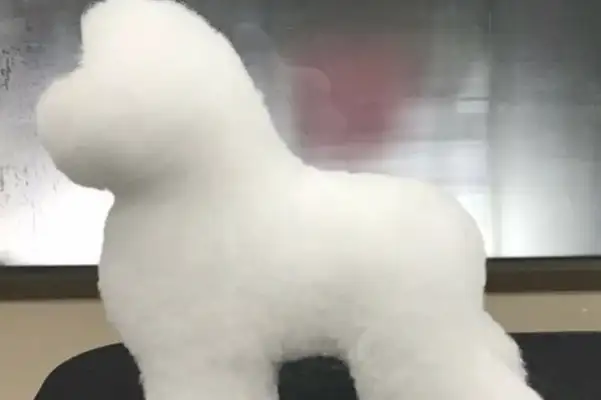 The dog went to the beauty salon and turned into a big soap bubble