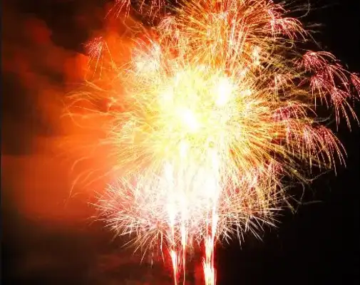 The firecracker's effect on the dog