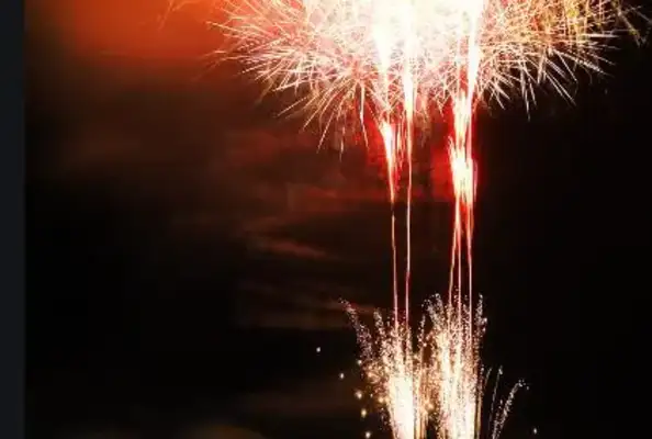 The firecracker's effect on the dog