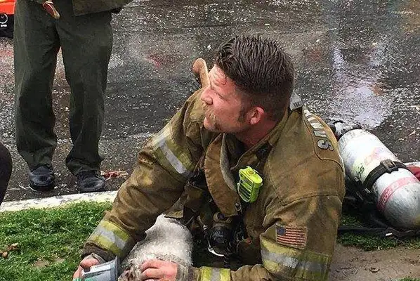 Firefighter fire saved a unconscious dog, and after rescue the master got excited. Tears