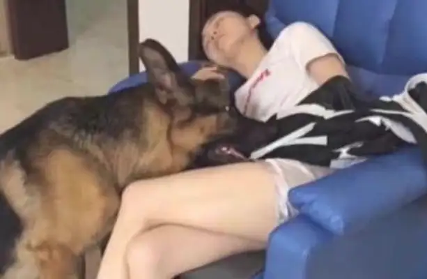 Dogs do things like this while they're pretty. Boyfriends look like shit. Netter: That's sweet