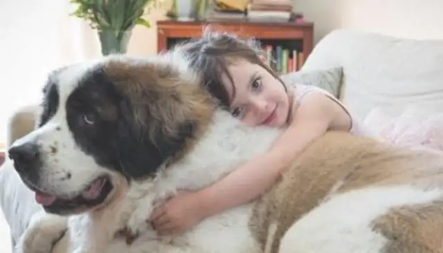 Dogs were born with a high degree of near-sightedness. No wonder they were called from far away. Down