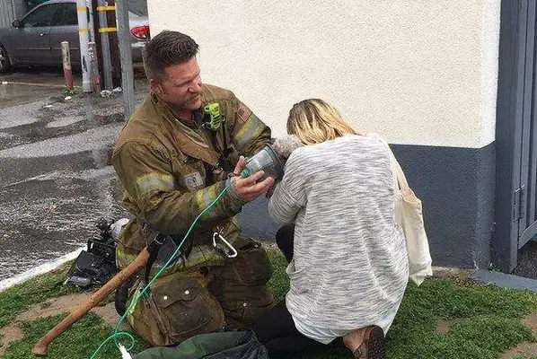 Firefighter fire saved a unconscious dog, and after rescue the master got excited. Tears
