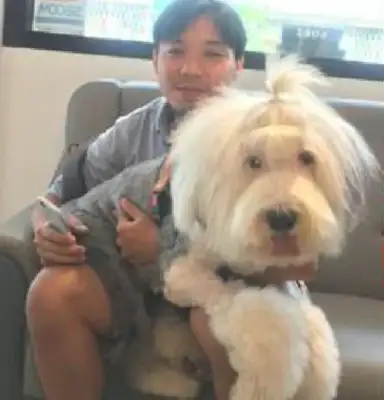 The 9-year-old dog's body fell and the owner took him on the last trip