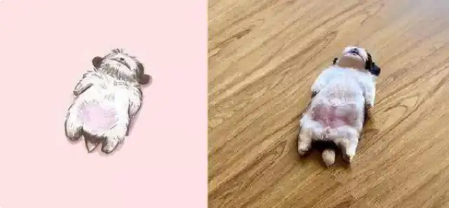 A year later, he grew up with 400,000 fans