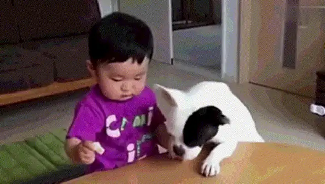 After the dog fights for food, the master weeps, and the dog sobbing when he's wrong