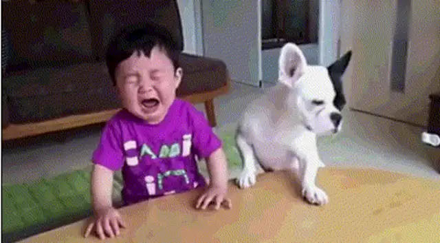 After the dog fights for food, the master weeps, and the dog sobbing when he's wrong