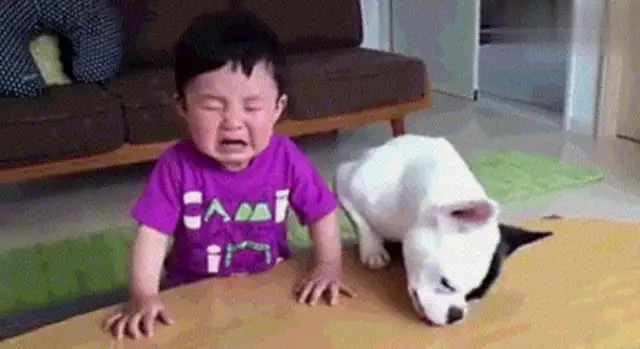 After the dog fights for food, the master weeps, and the dog sobbing when he's wrong