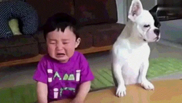 After the dog fights for food, the master weeps, and the dog sobbing when he's wrong