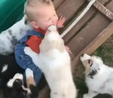 You've got to watch out for all the kids at home!
