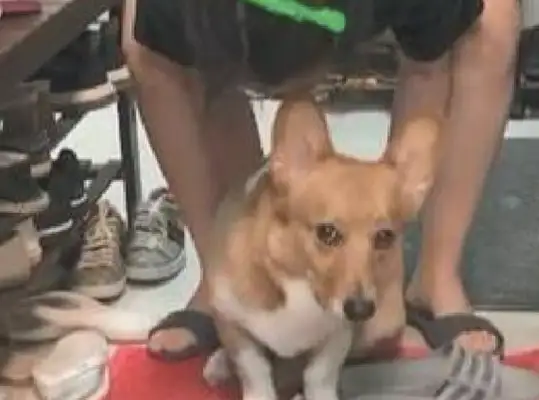 A guy from the Internet went out to do some business, and Kirkie wouldn't let her go