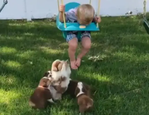You've got to watch out for all the kids at home!
