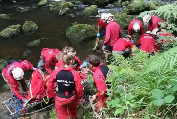 A 76-year-old fell in the valley and the dog was loyal and he called for help