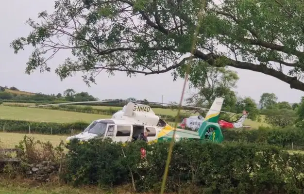 A 76-year-old fell in the valley and the dog was loyal and he called for help