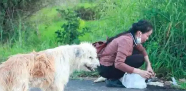 The dog waited two years for the master to come back, but he wouldn't come back. Move