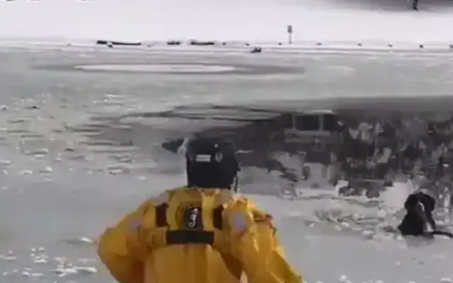The dog crashes in an ice lake and can't move. Firefighters save the dog in 10 seconds: Watch out for the dog