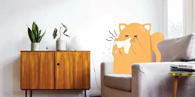How does rabies spread