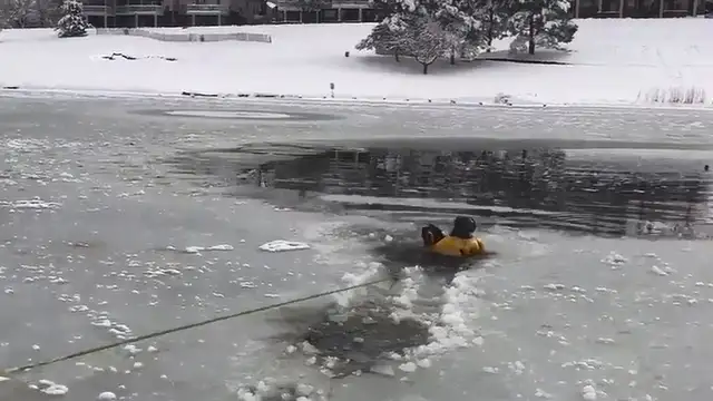 The dog crashes in an ice lake and can't move. Firefighters save the dog in 10 seconds: Watch out for the dog