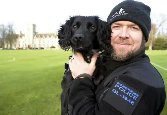 A year ago it was abused by the former master, and a year later the new master raised it to become a police dog