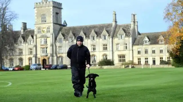 A year ago it was abused by the former master, and a year later the new master raised it to become a police dog