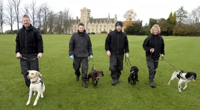 A year ago it was abused by the former master, and a year later the new master raised it to become a police dog