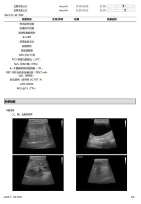 Diagnosis and treatment of a dog testicular tumor